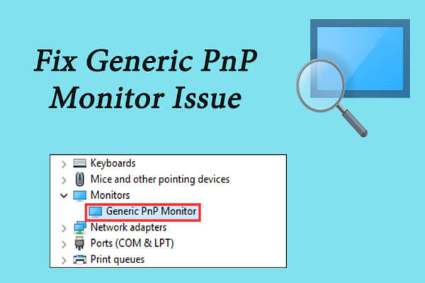 generic monitor pnp 1680948589