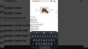 google gravity roll 1 1