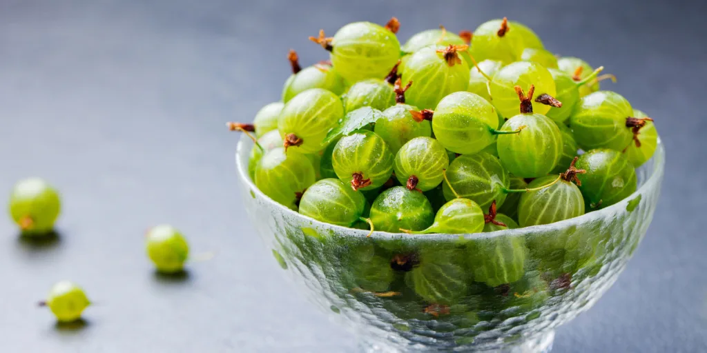 Gooseberries Remains Illegal in Some States