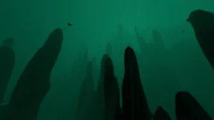 grand reef subnautica 1 1