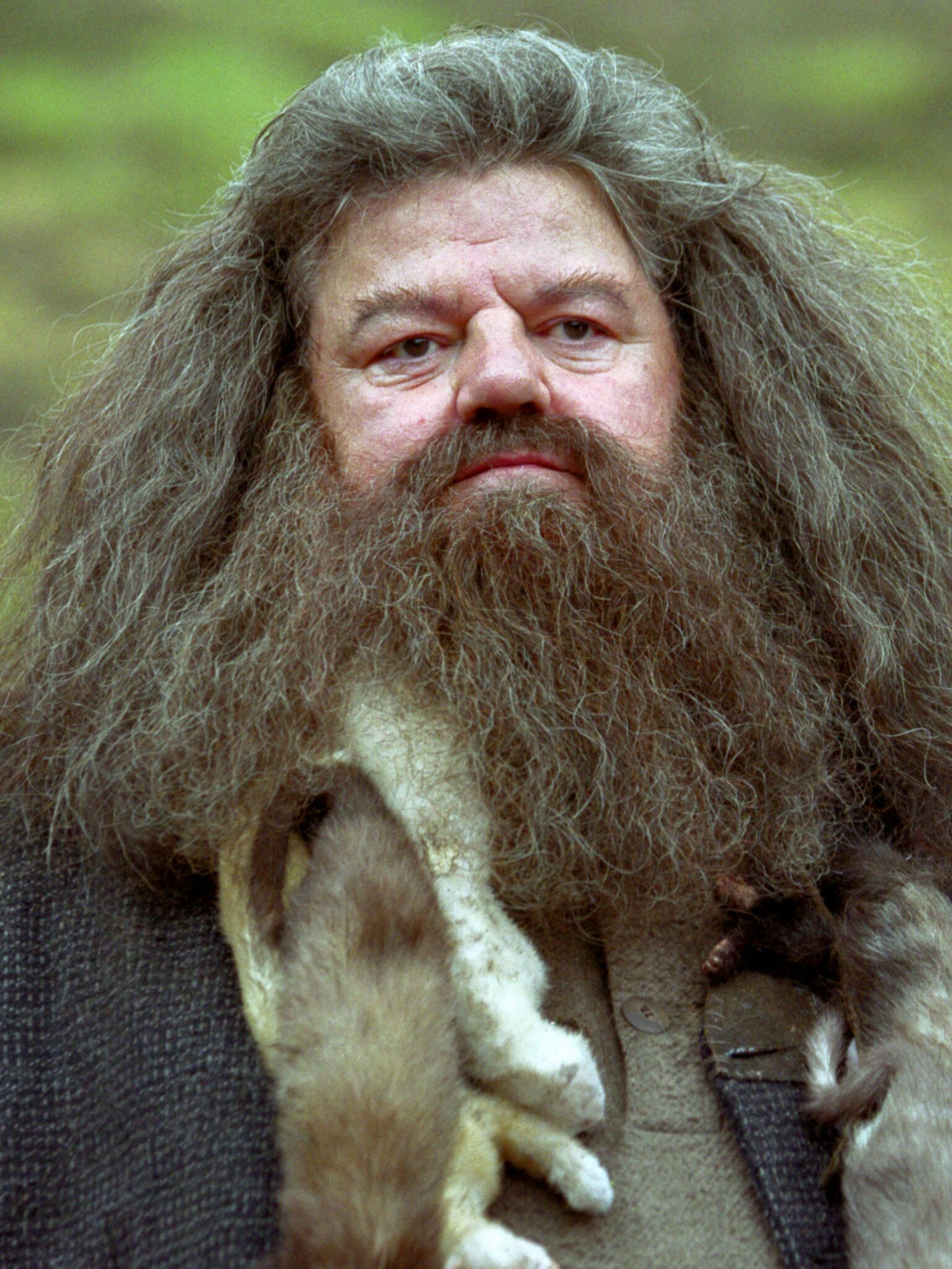 How Tall Is The Actor Who Plays Hagrid Hagrid Brought to Life Through Cinema Magic