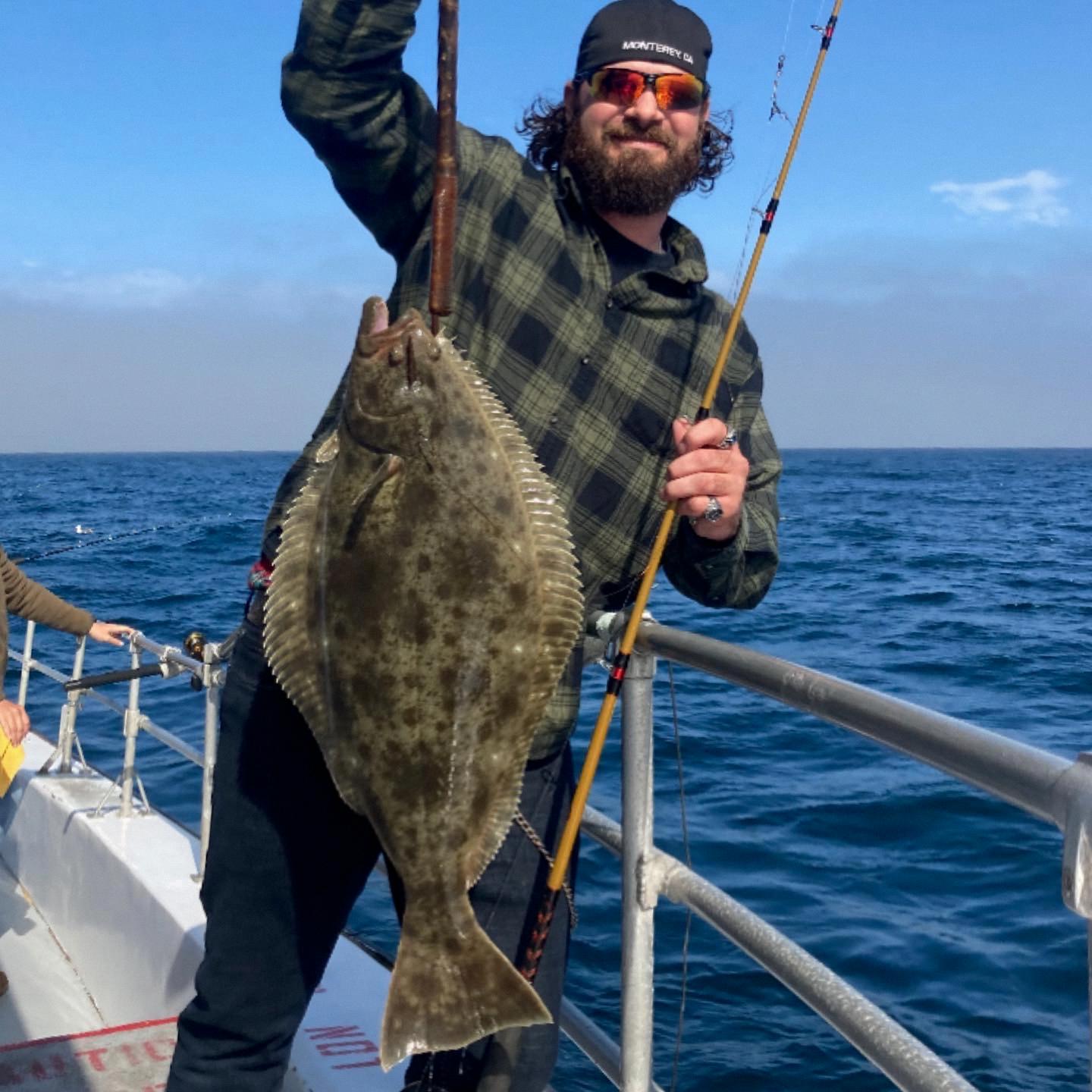 Halibut and Cod Comparing its Taste and Texture