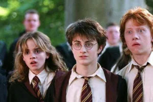 harry potter 4th year 1 1