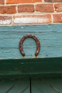 horseshoe over door 1 1