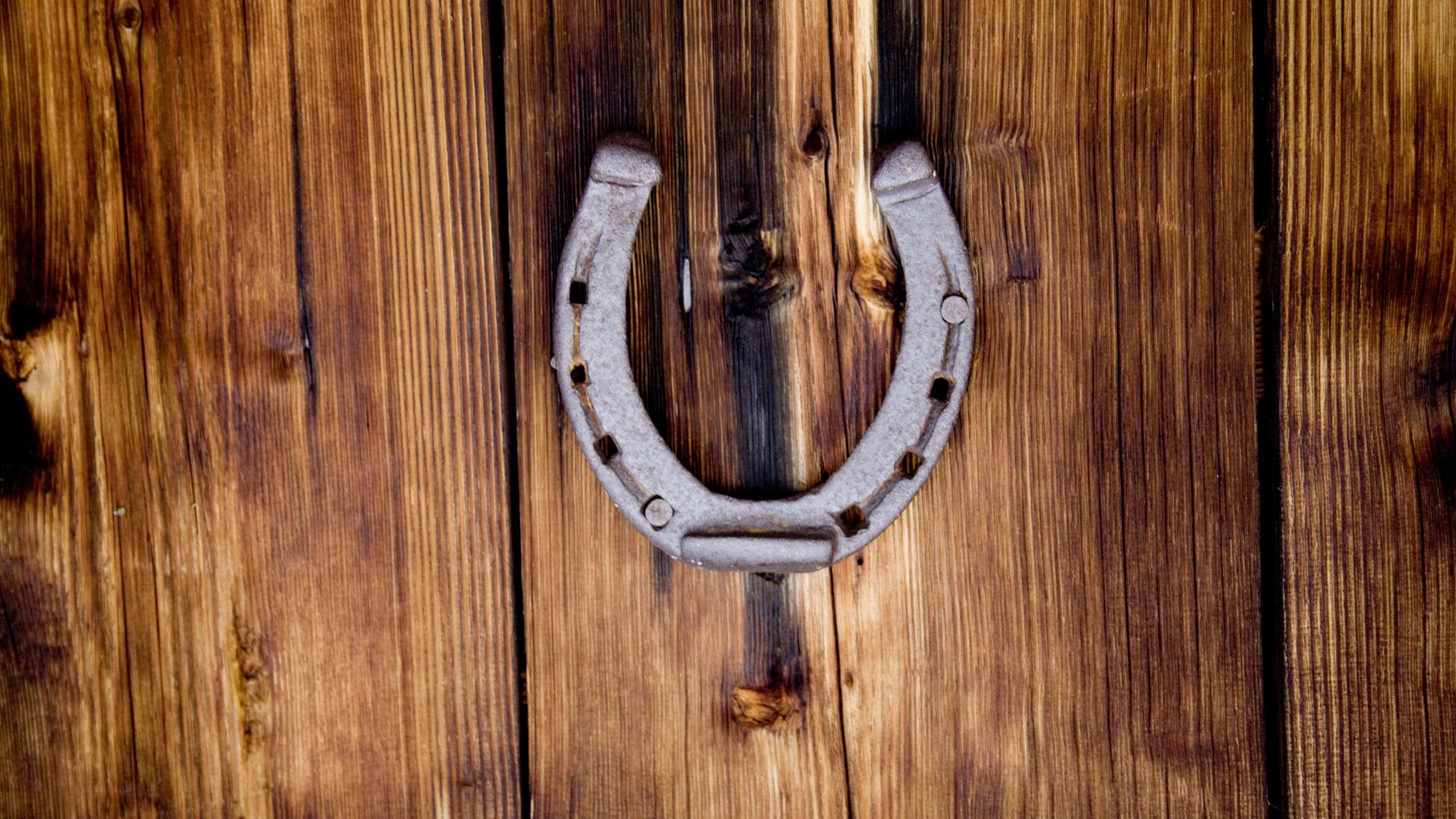 horseshoe over door