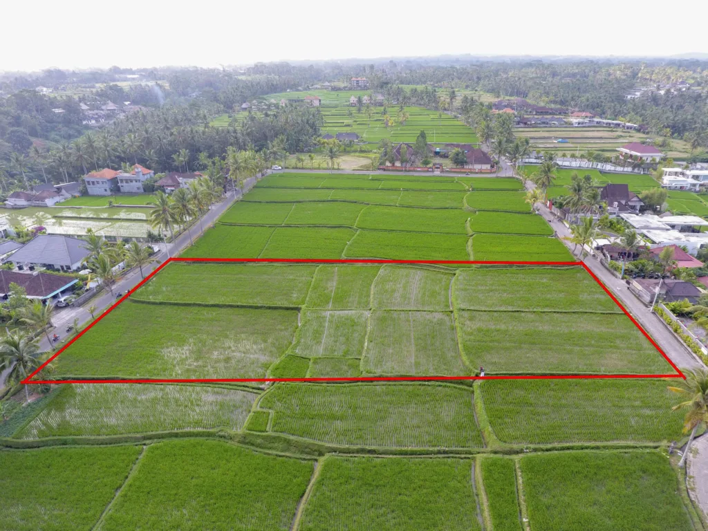 Understanding Land Measurements Starts With The Hectare