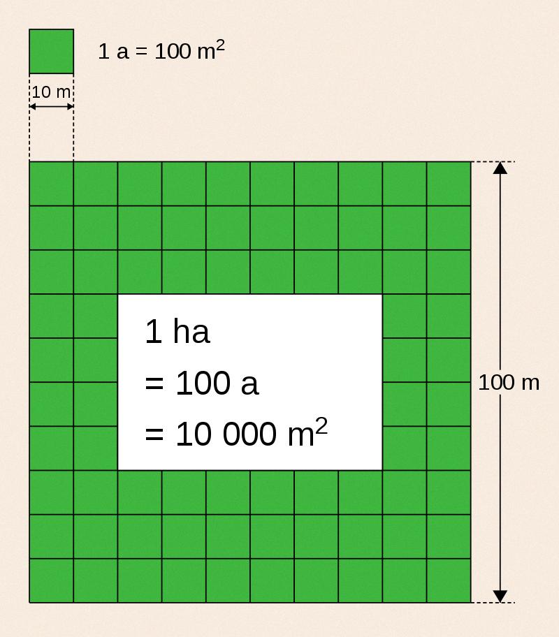 how big is an hectare