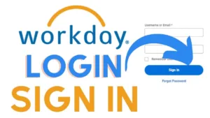 how do i log into workday 1 1