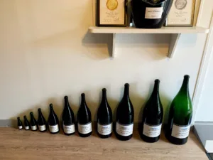 how many ounces in a bottle of champagne 1 1