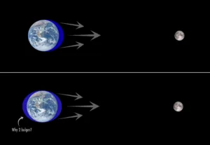 how many tidal bulges are there 1 1