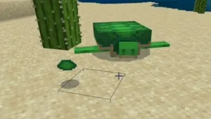how to get scute minecraft 1 1