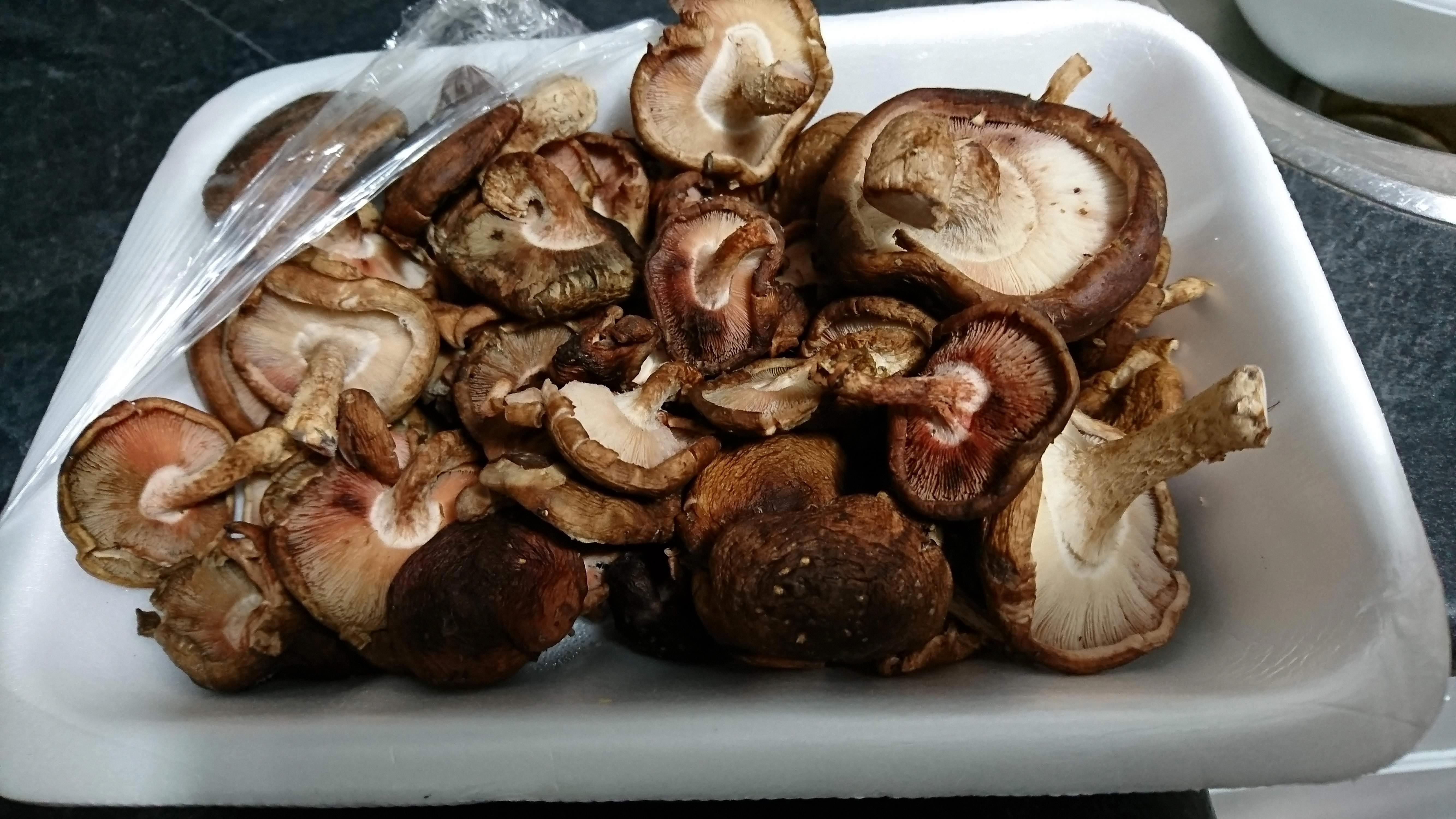 how to tell if shiitake mushrooms are bad