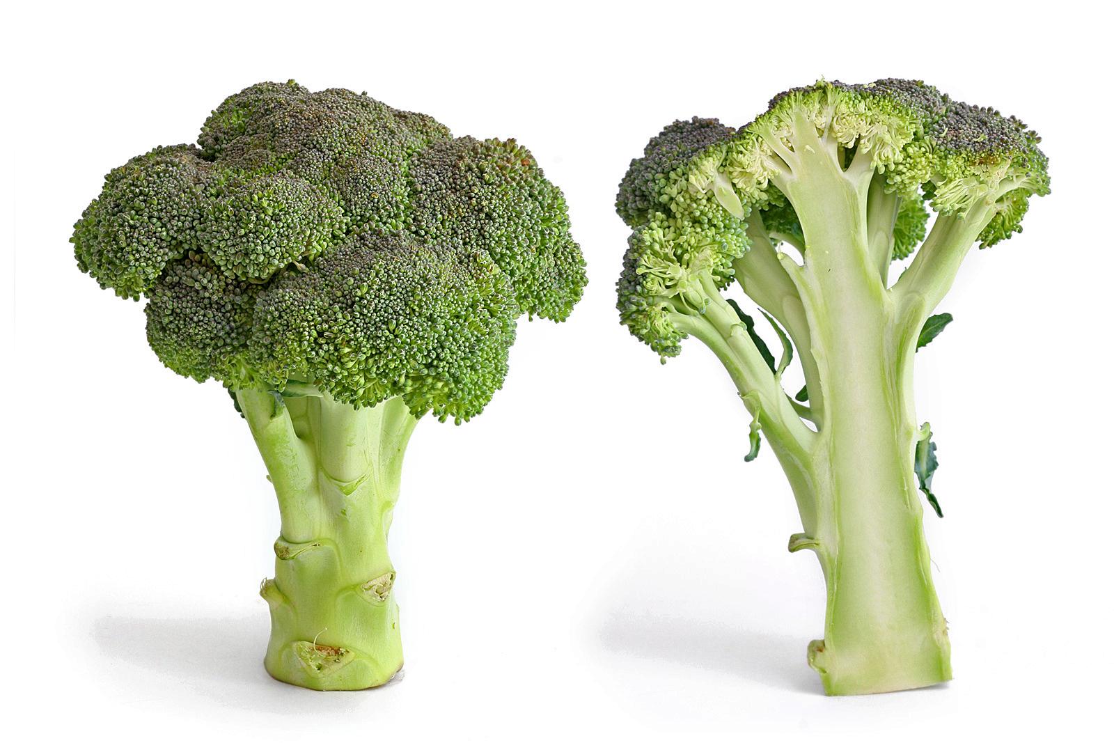 how was broccoli made