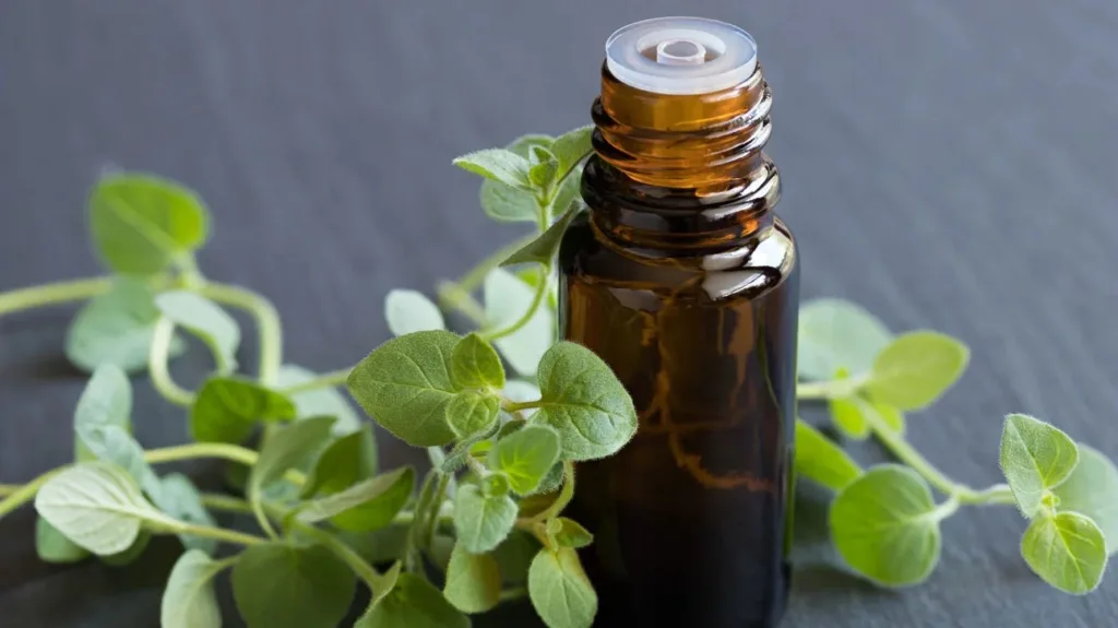 oregano oil 1682584785