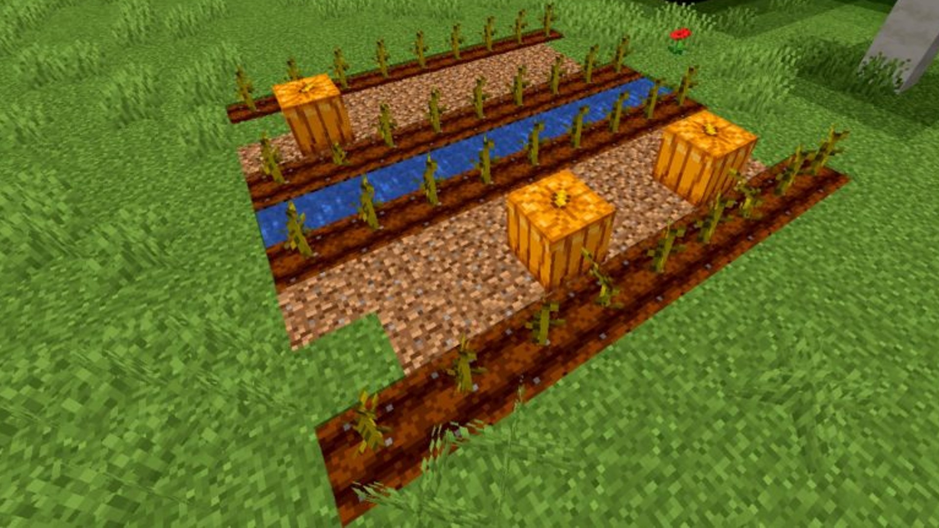 Pumping Out Pumpkins By The Dozen In Minecraft