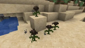 wither rose minecraft 1682774585