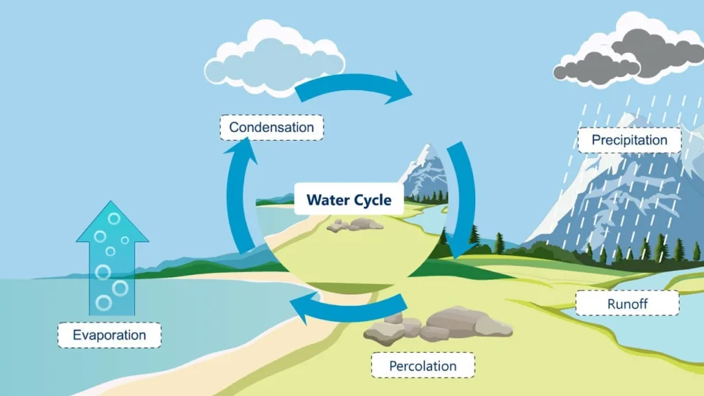 Percolation water cycle 1683199969