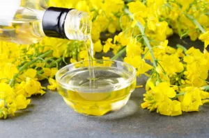 canola oil 1683377222