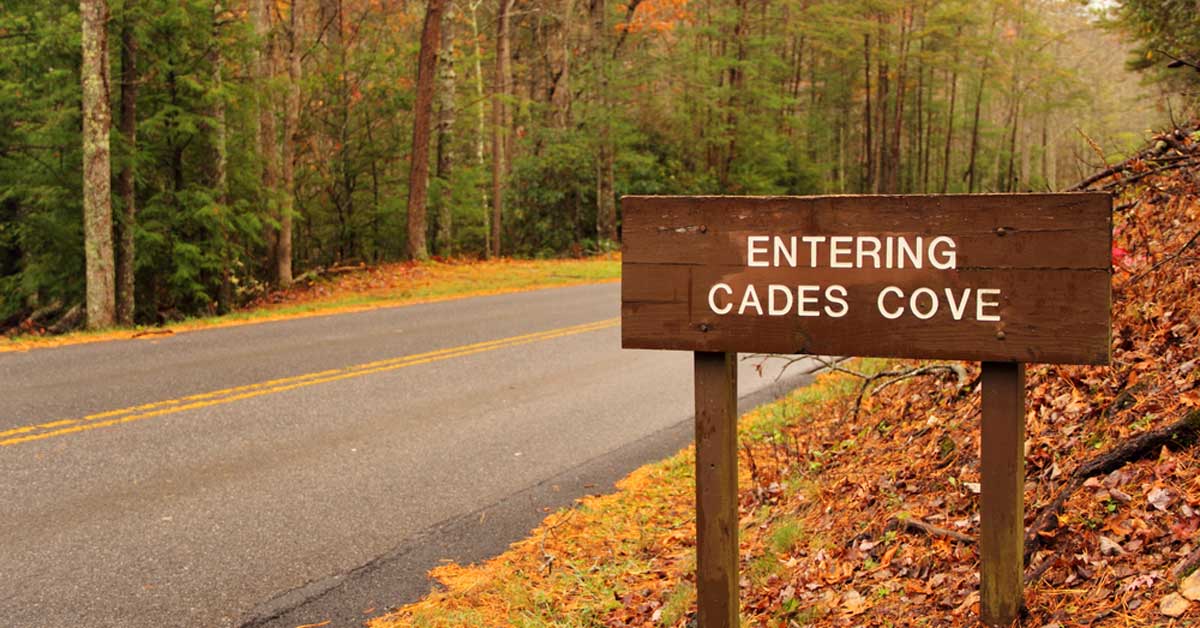 Cades Cove Offers Amazing Activities for All Ages
