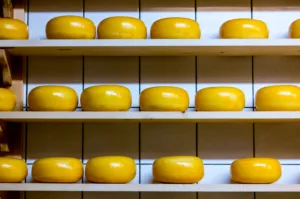 cheese madrigal 1684603789