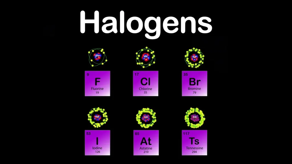 halogen 1683380643