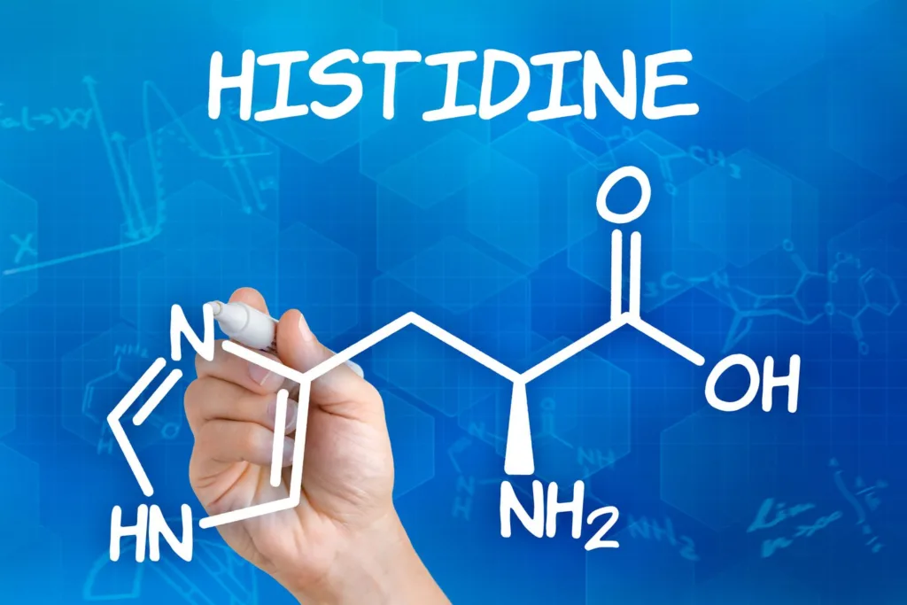 histidine 1683533318