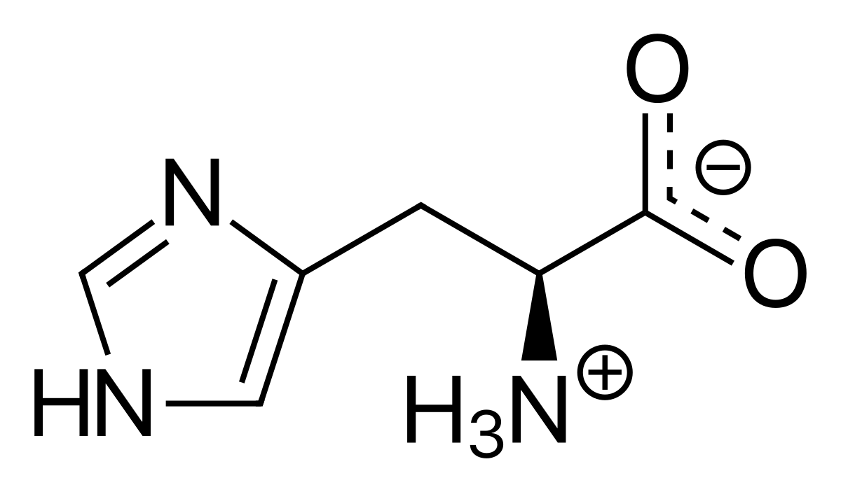 A Closer Look at Histidine's Charge Fluctuations