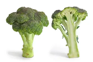 how was broccoli made 1