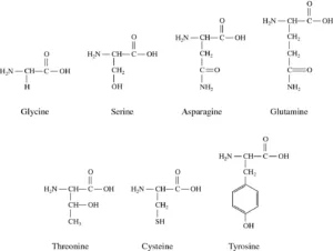 hydrophilic polar or nonpolar 1