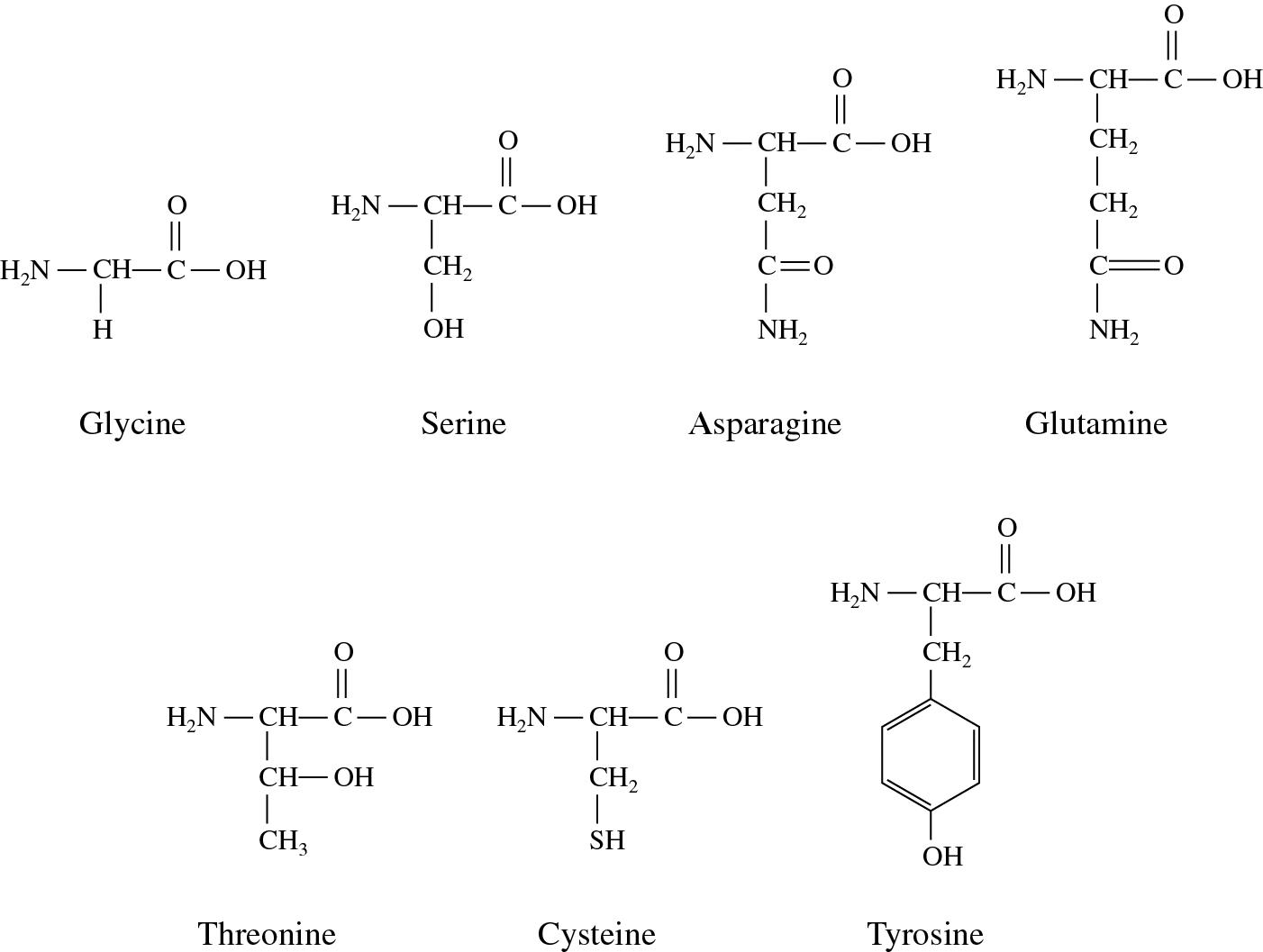 The Properties of Hydrophilic Polar and NonPolar Molecules