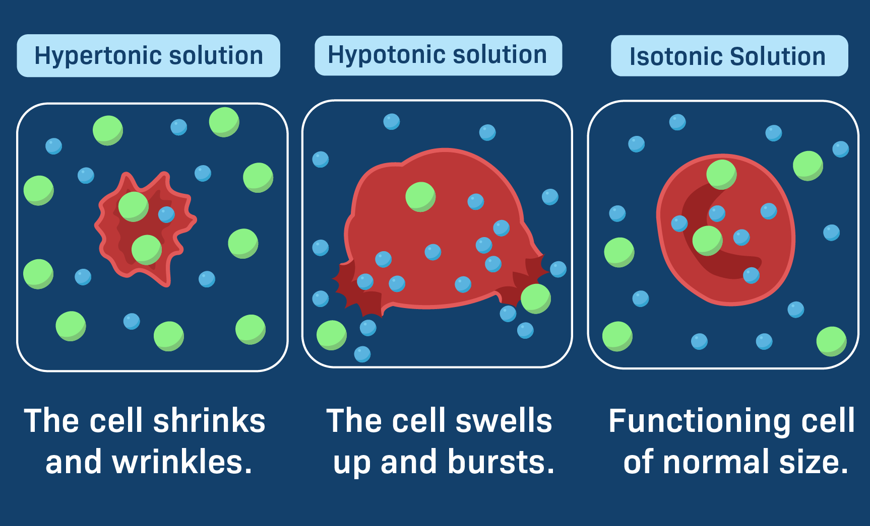 The Difference Between Hypertonic and Hyperosmotic Solutions Assessed