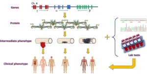 is bb heterozygous or homozygous 1