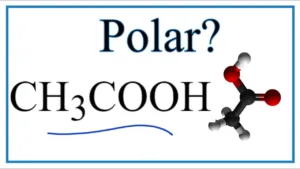 is carboxyl polar 1