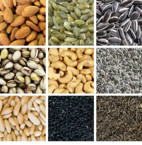 is sunflower seeds considered a tree nut 1 1