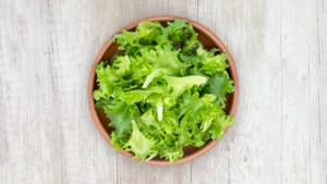 lettuce 1683792581