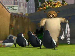 mort madagascar 1684523001