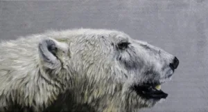 nanook meaning 1 1