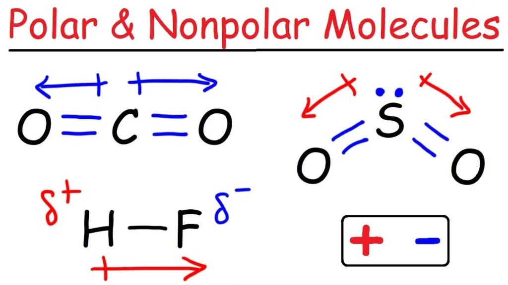 non polar molecules 1683803395