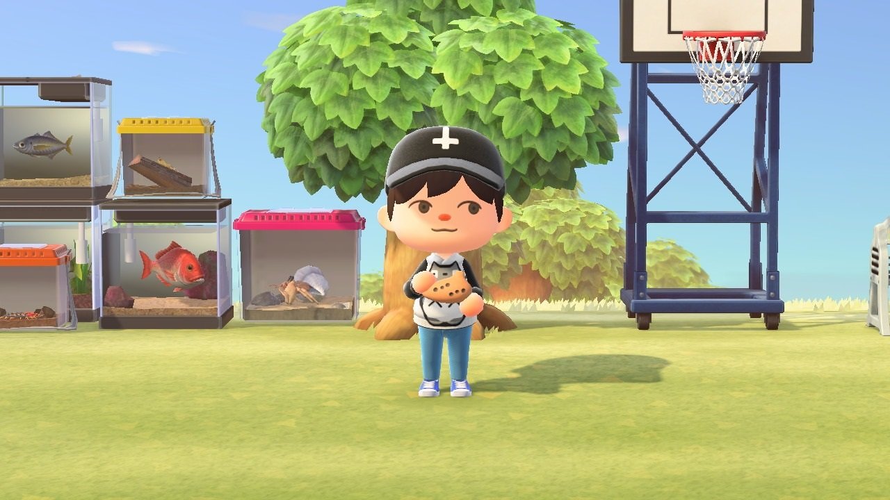 Ocarina Brings A Touch Of Fun And Music In Animal Crossing