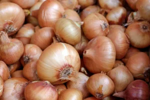onion 1685088409