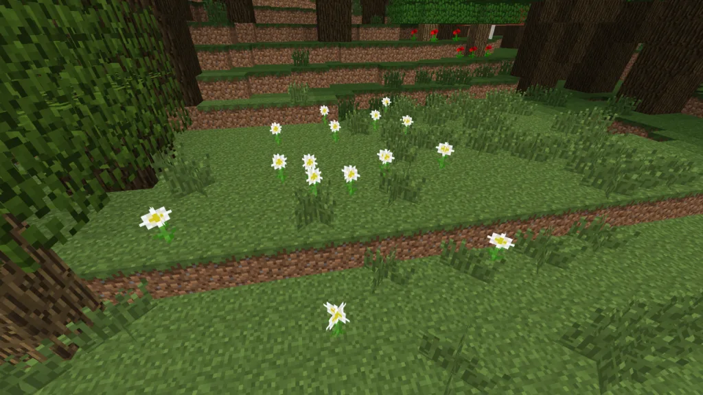 Growing Oxeye Daisies in Minecraft