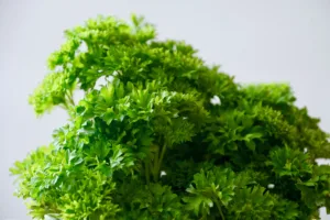 parsley 1685381091