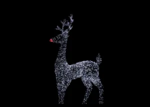 reindeer rudolf 1683969716