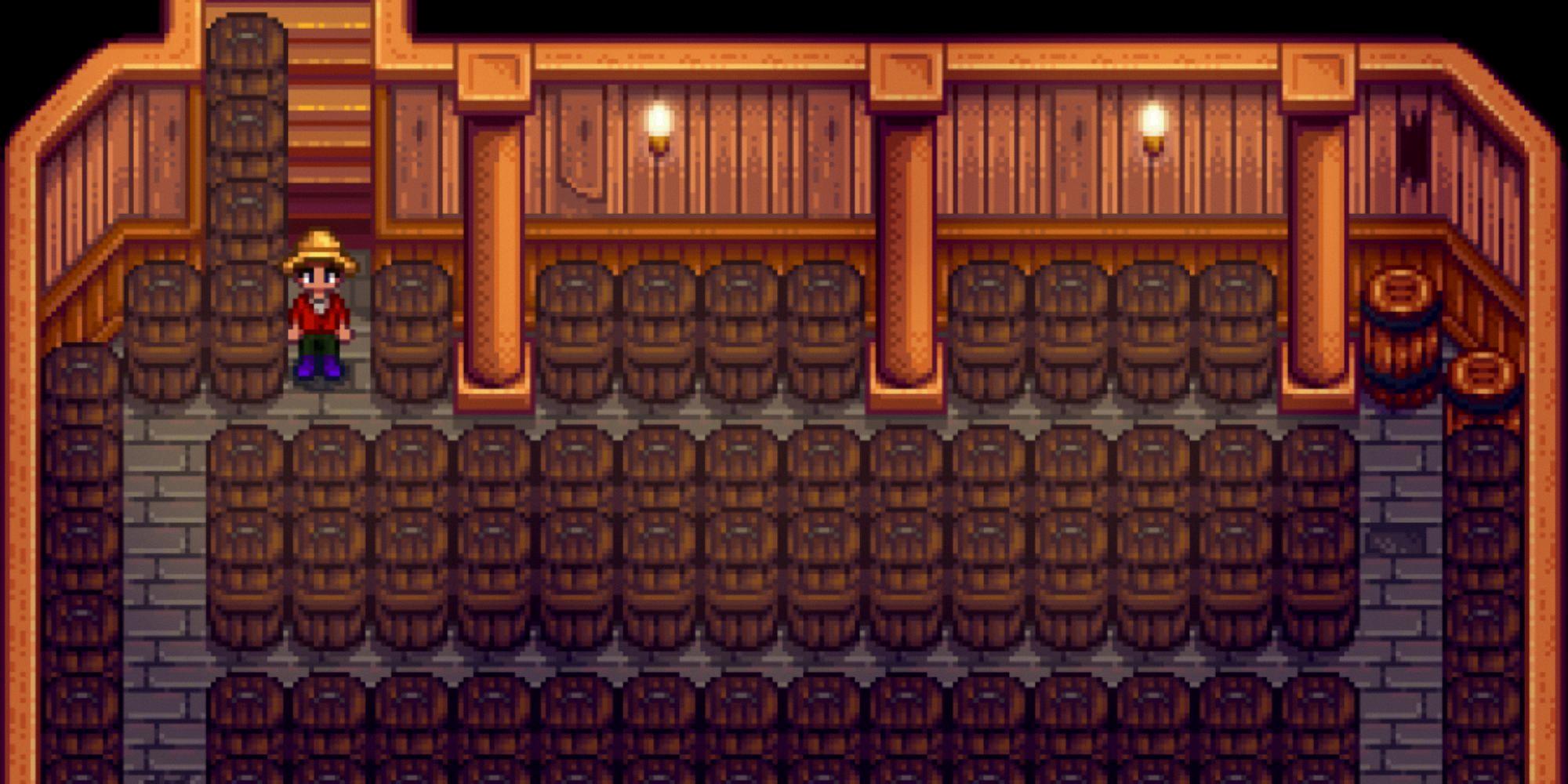 stardew basement