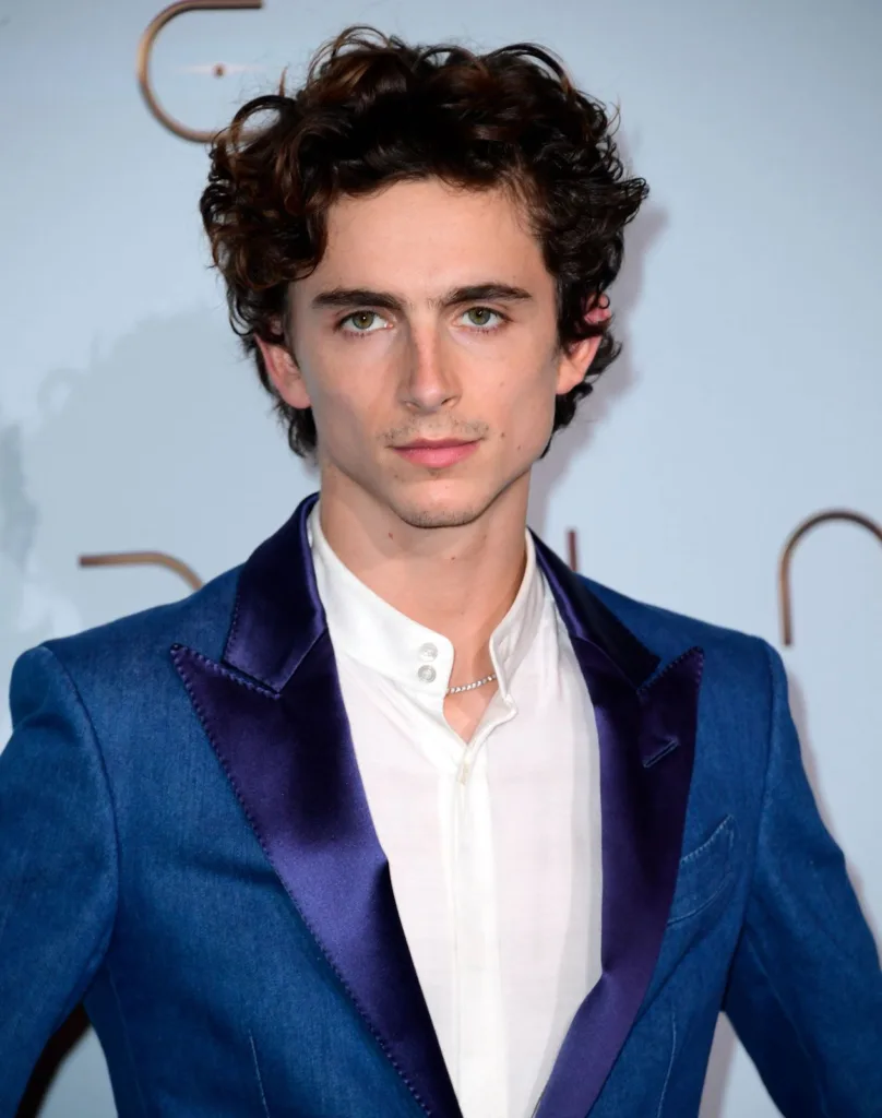 A Glimpse into Timothée Chalamet's French Heritage