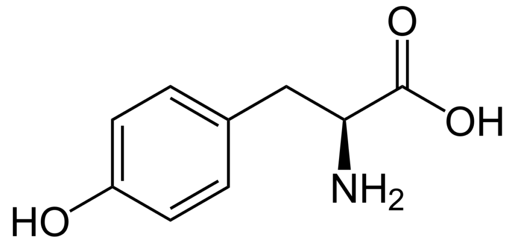 tyrosine 1684004314