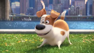 max the secret life of pets 1686403772