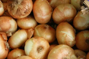 onions walmart 1686374753