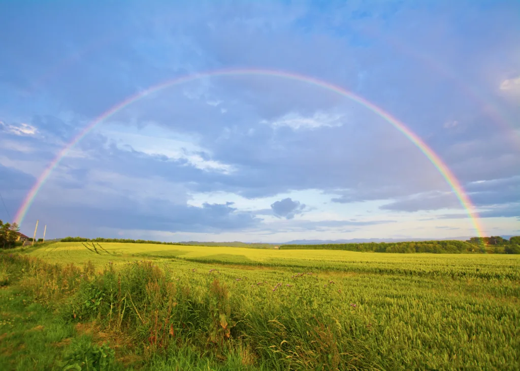 roygbiv-a-colorful-mnemonic-device