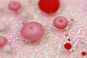 red blood cells 1687017374